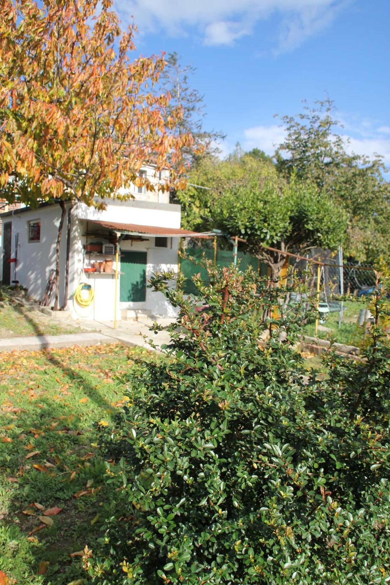 Il Gelsomino Villa Trieste Exterior photo